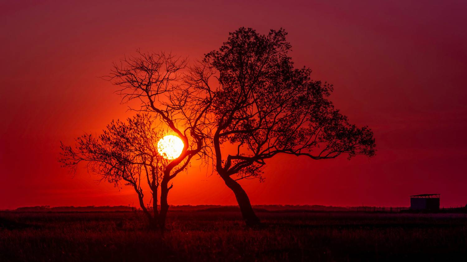 , Савенко Кирилл