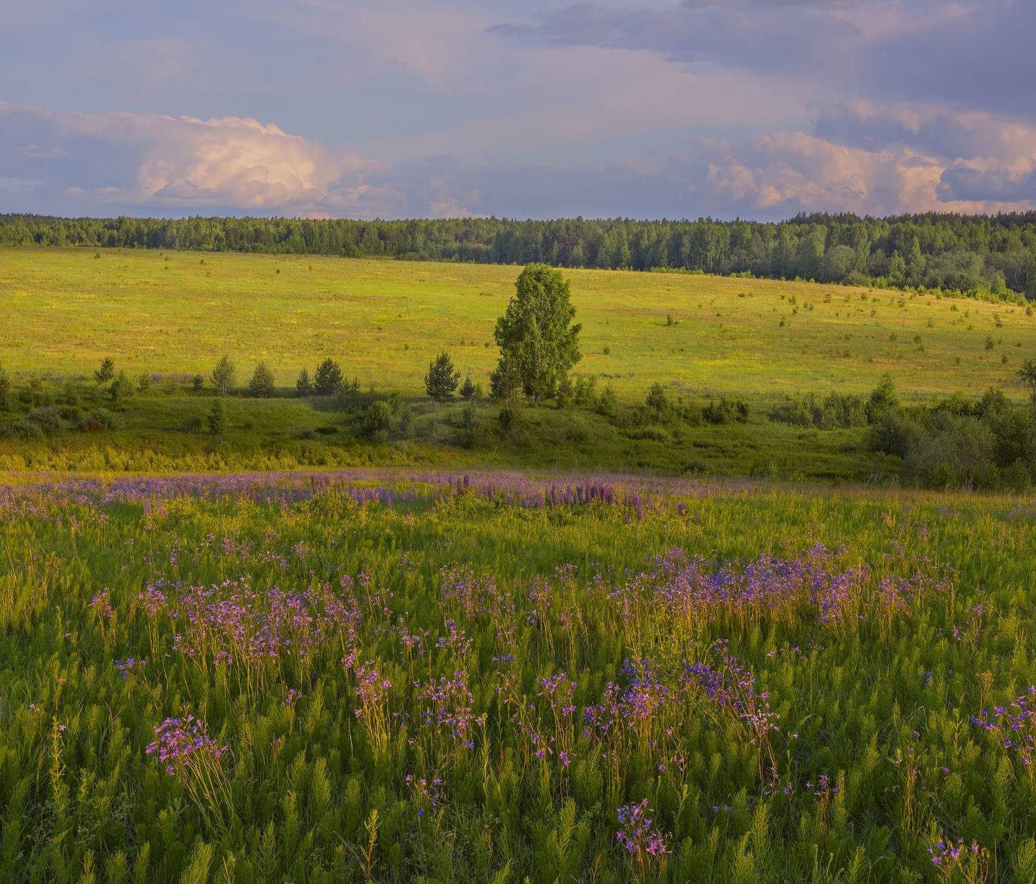Фототуры с Владимиром Рябковым, #topnature #russpasibo #magic_shots #lovelyRussia #sunset_vision #exclusive_sky  #exclusive_shots #loves_russia2 #photoarena_nature #nature_sultans #nature_perfection #rsa_sky #rsa_sunset #photorussia #rsa_naturepics #sunse, Владимир Рябков