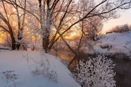 Зимним утром