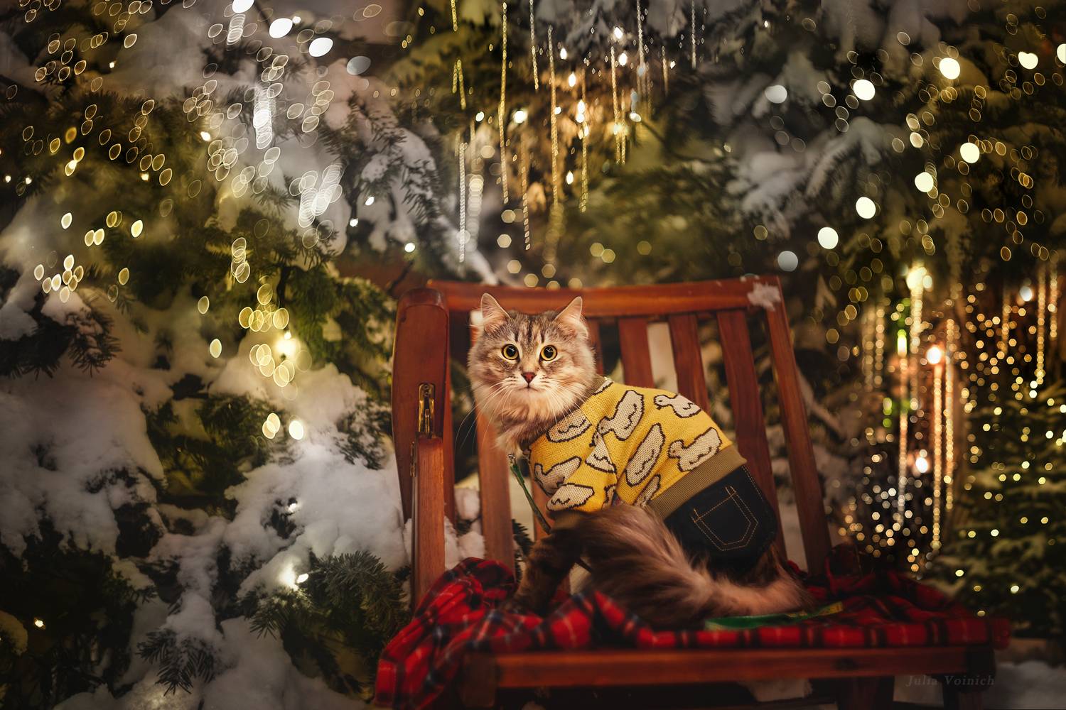 , Юлия Войнич