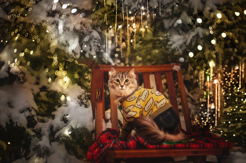 *** фото превью