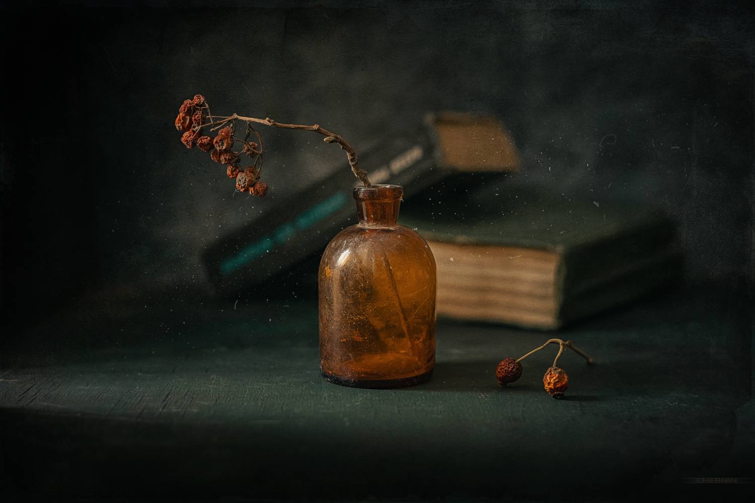 , Чернин Дмитрий