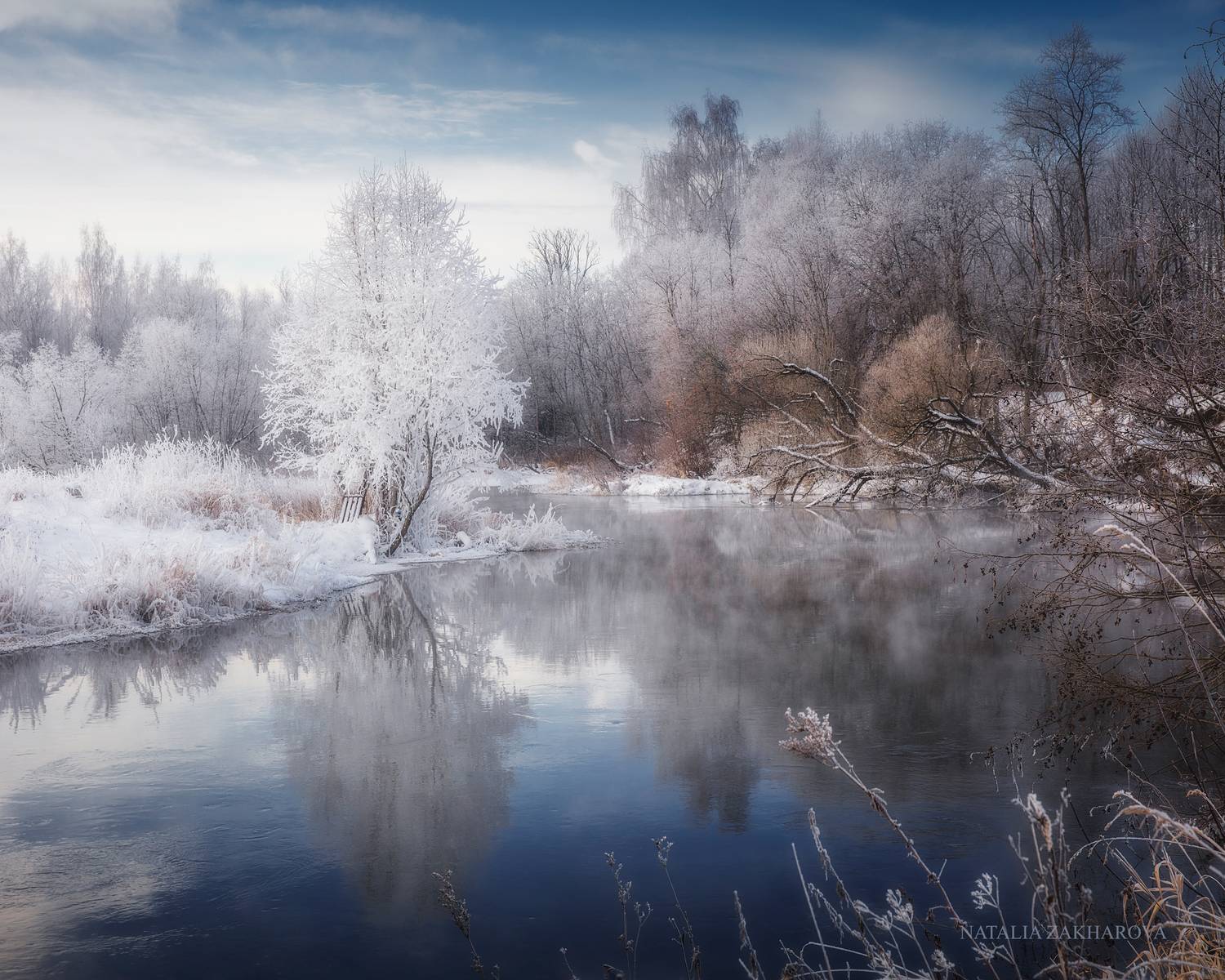 истра, Захарова Наталья