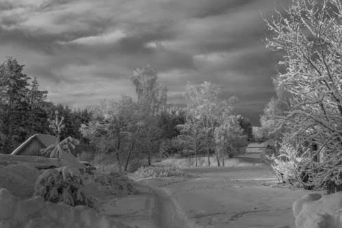 Зимнее утро