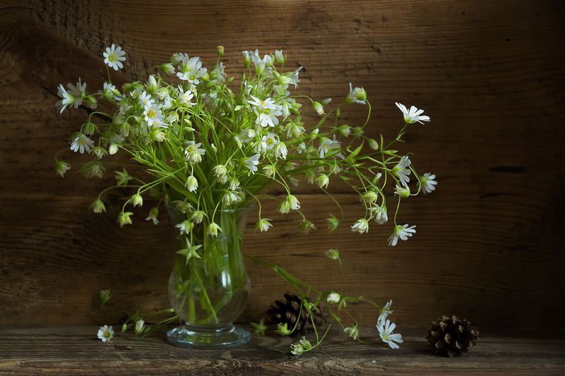 Букетик из леса фото превью