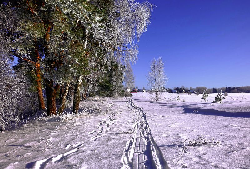 Зимний этюд. фото превью