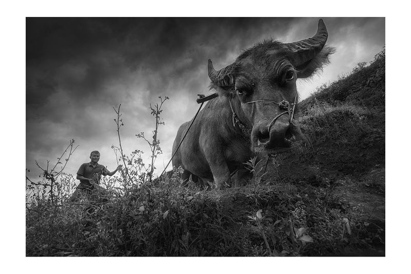 Rice&Icon of Vietnam фото превью