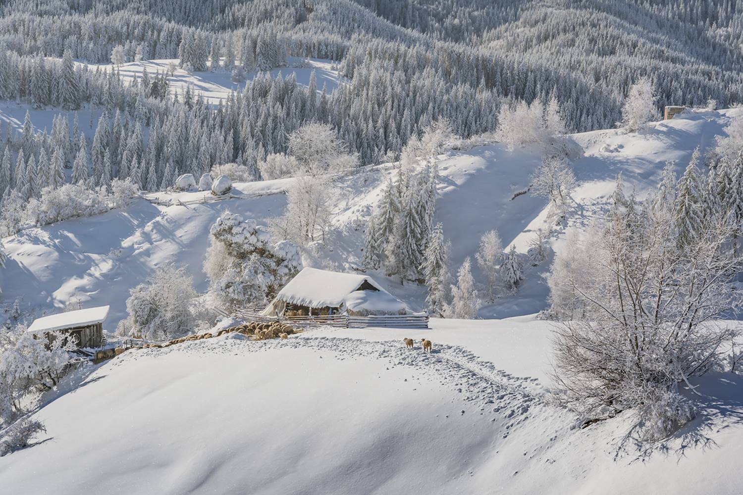 landscape, nature, scenery, oldhouses, village, snow, winter, colors, mountain, rodopi, bulgaria, Александров Александър