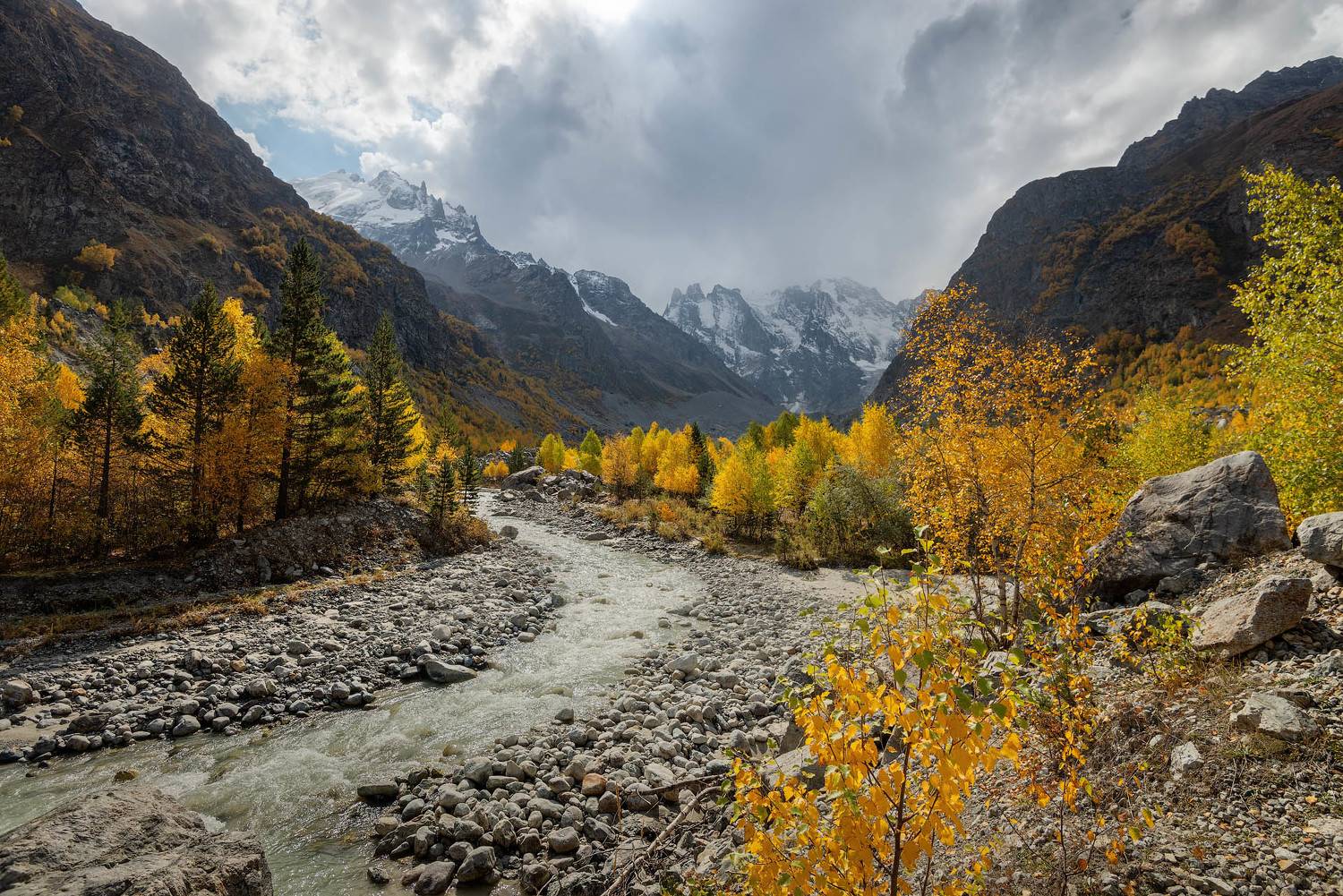 , Шевченко Юрий