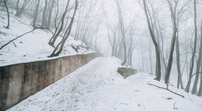 Уйти в туман... фото превью
