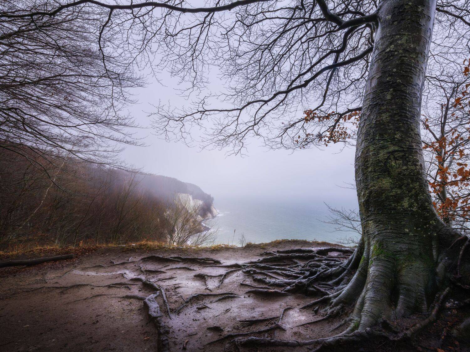 , Михаил Козлов