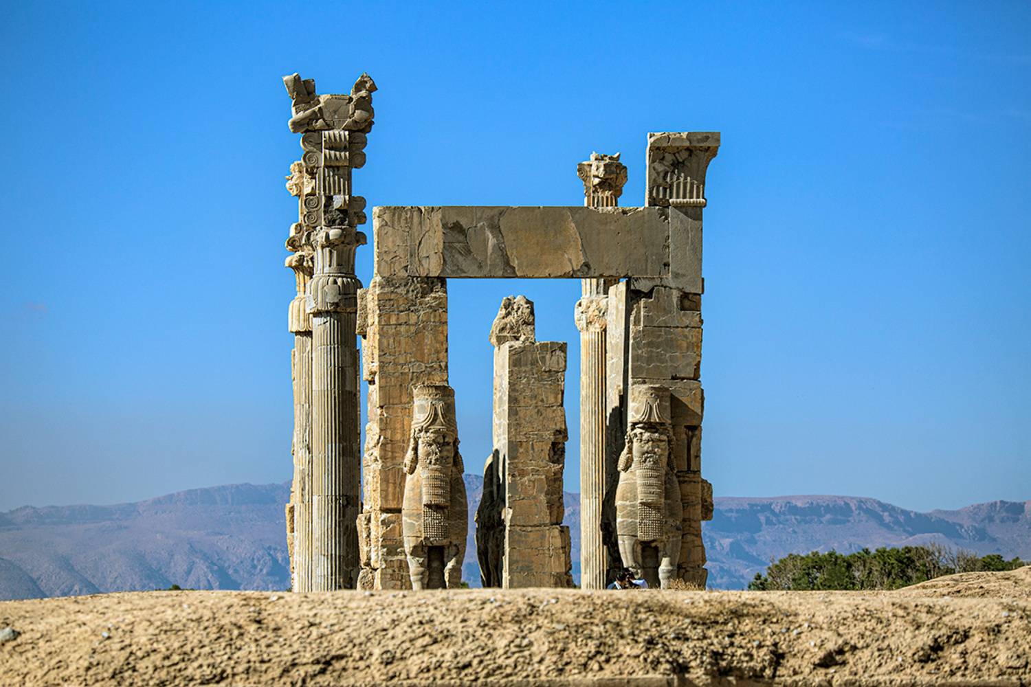 , Антипов Игорь