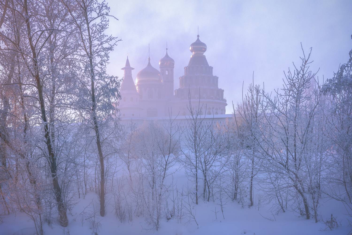 истра, Елена Гусева