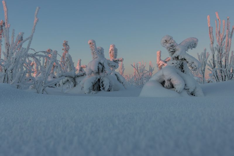 зима, снег, мороз, иней, сугроб, солнце, закат, вечер Холодок фото превью