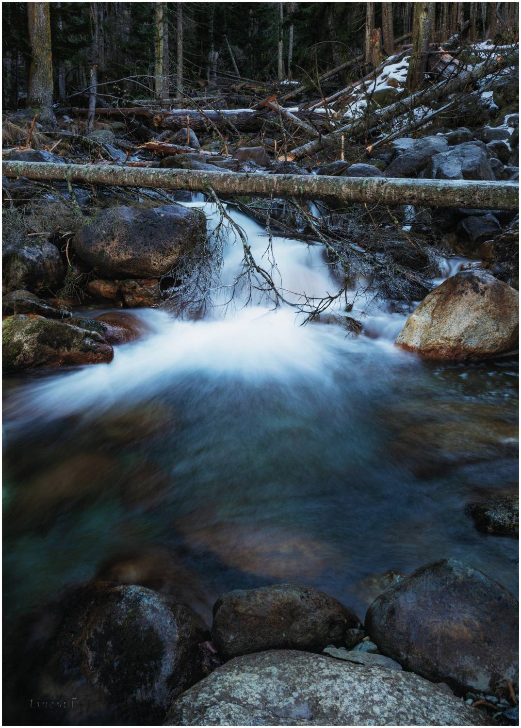 , Алиева Татьяна