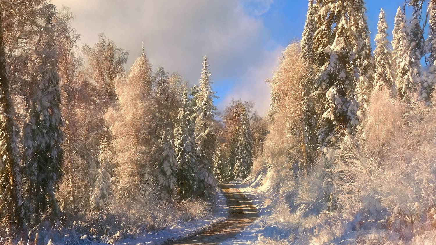 , Шварцман Евгений