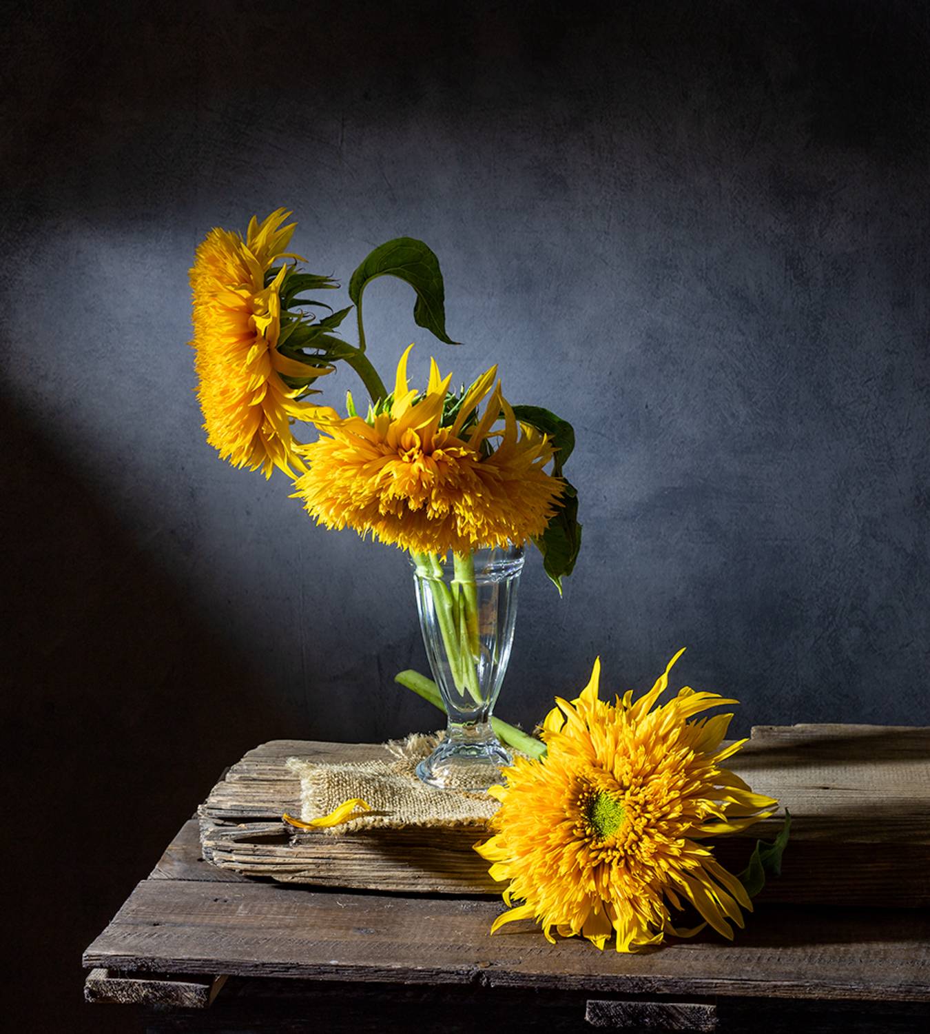 натюрморт, цветы, подсолнухи, Оля