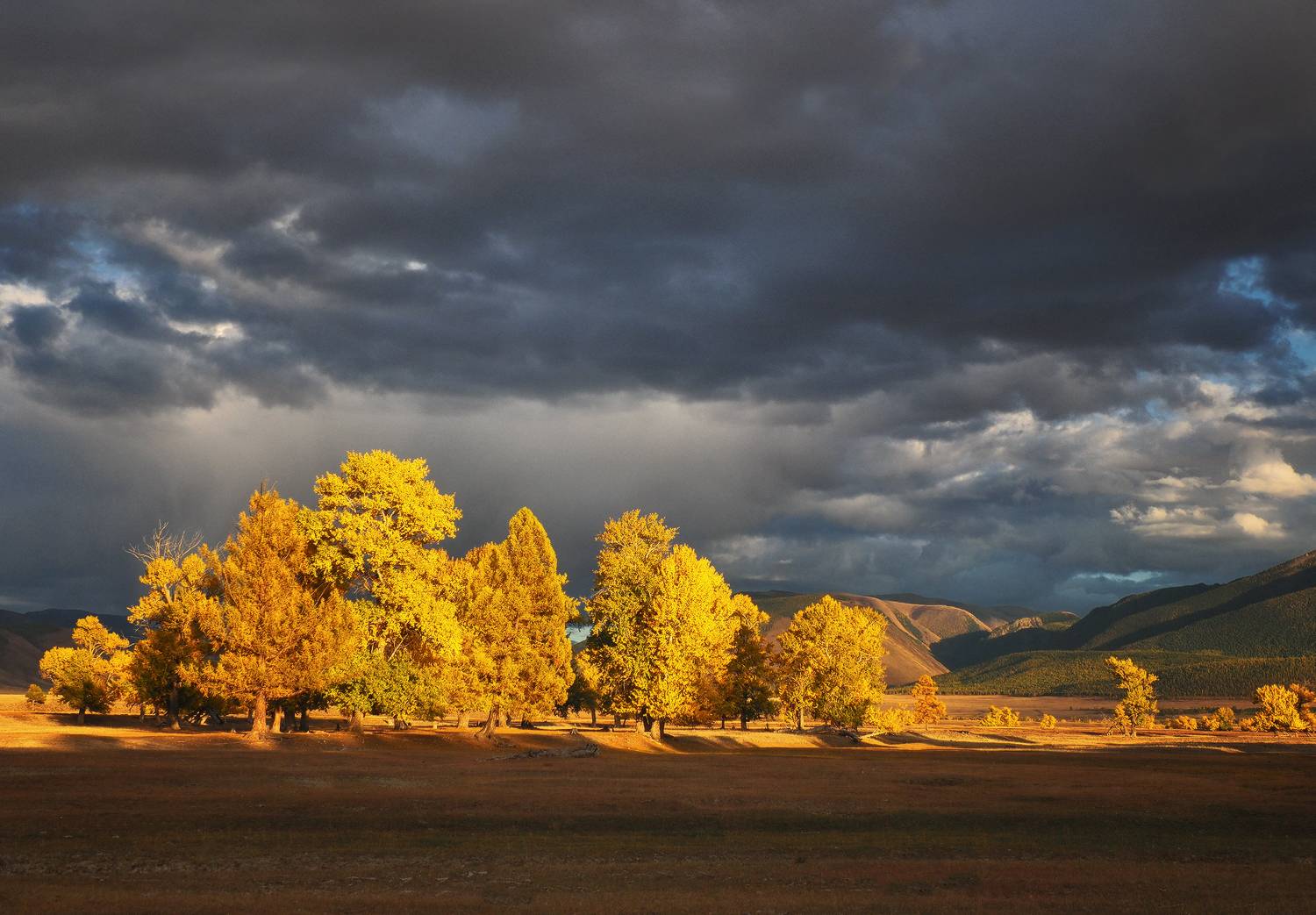 , Галина Хвостенко