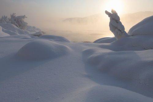 Снежный зайка