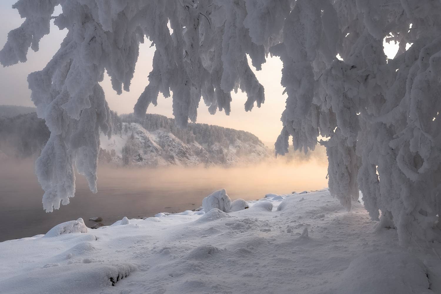 мороз, куржак, иней, енисейская сибирь, енисей, Фомина Марина