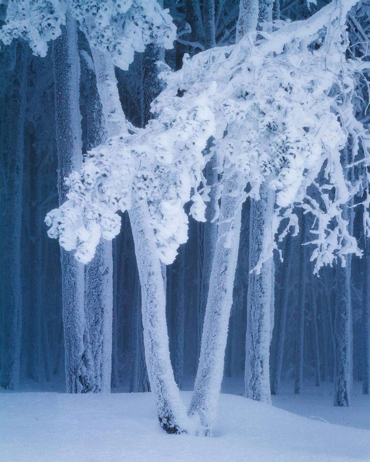 canon, 7d, ef 70-200 f/4l usm, Ксензов Максим