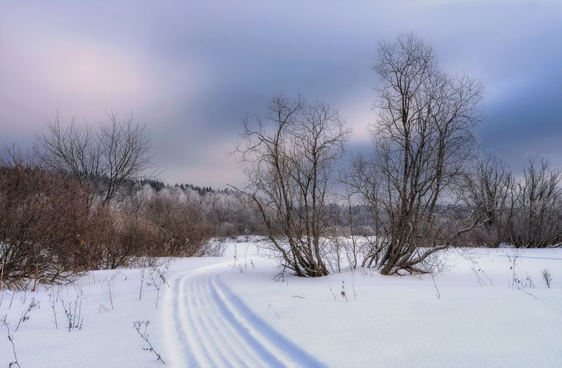 зима, мороз, снег, иней, деревья, кусты, след, вечер Вчерашний след фото превью