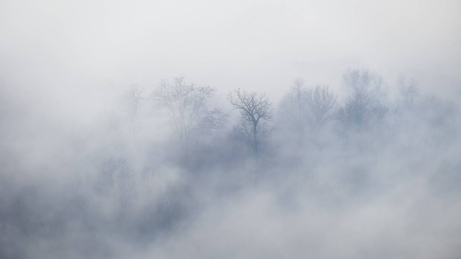 , Stefan Chirobocea