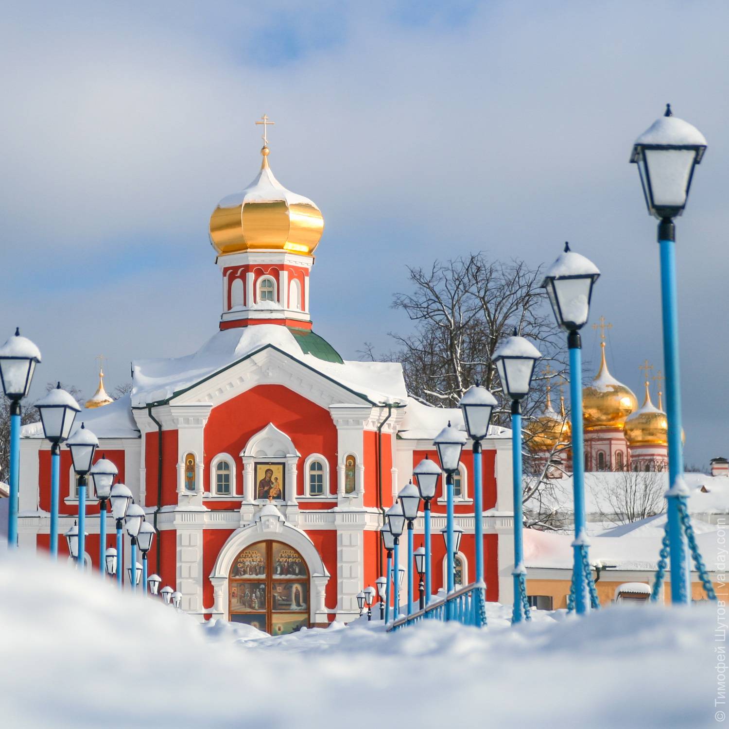 валдай, Timothy Shutov