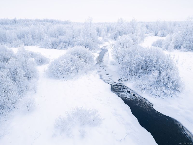 пейзаж, зима, снег, лес, деревья, landscape, woodland, winter, snow, sunset, мороз, коми, закат, frozen, komi, иней, дрон, аэрофотография, drone Монохромный север фото превью