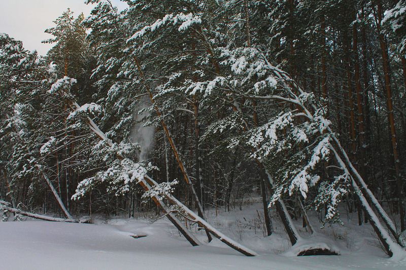 .... фото превью