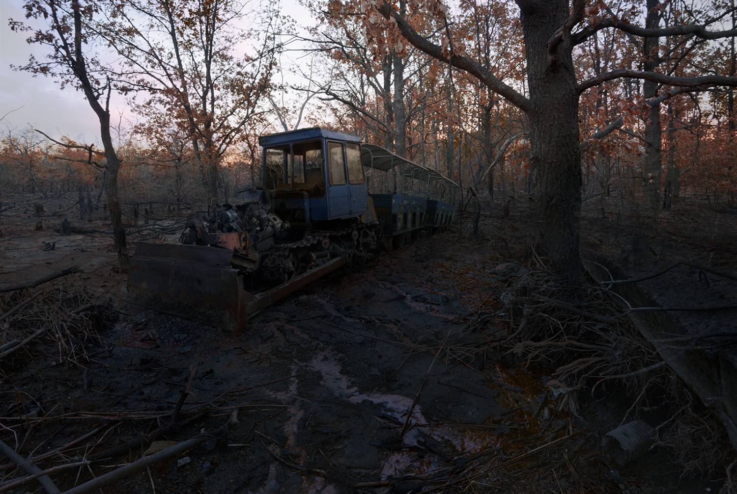 , Дeнис Бoдрoв