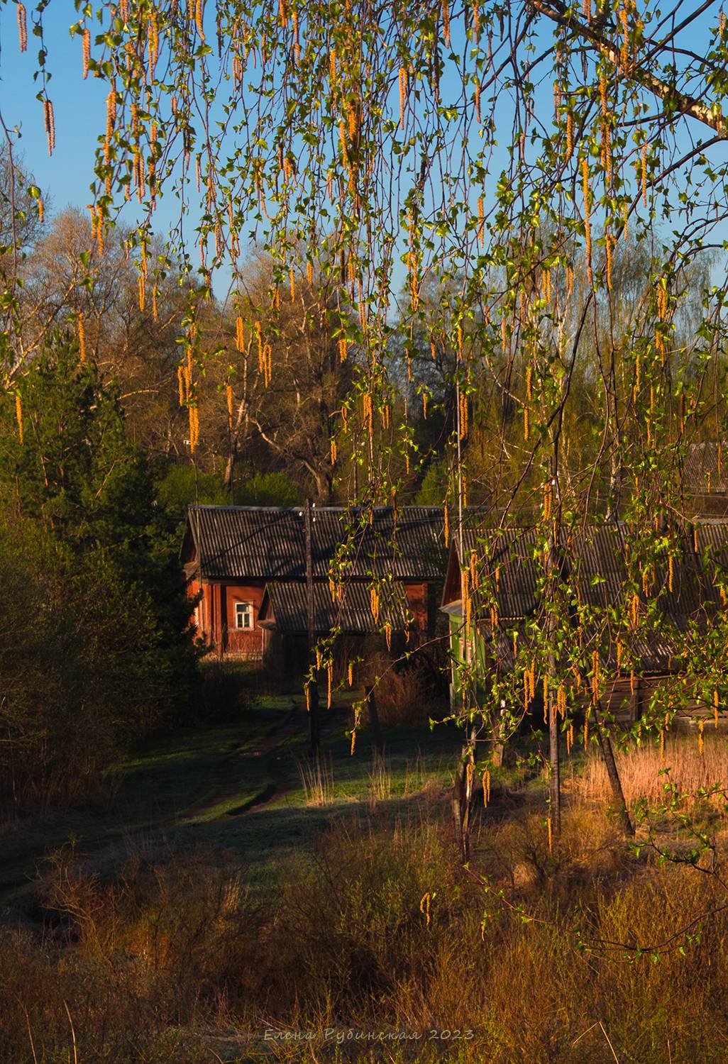 костромская область, кострома, Елена Рубинская
