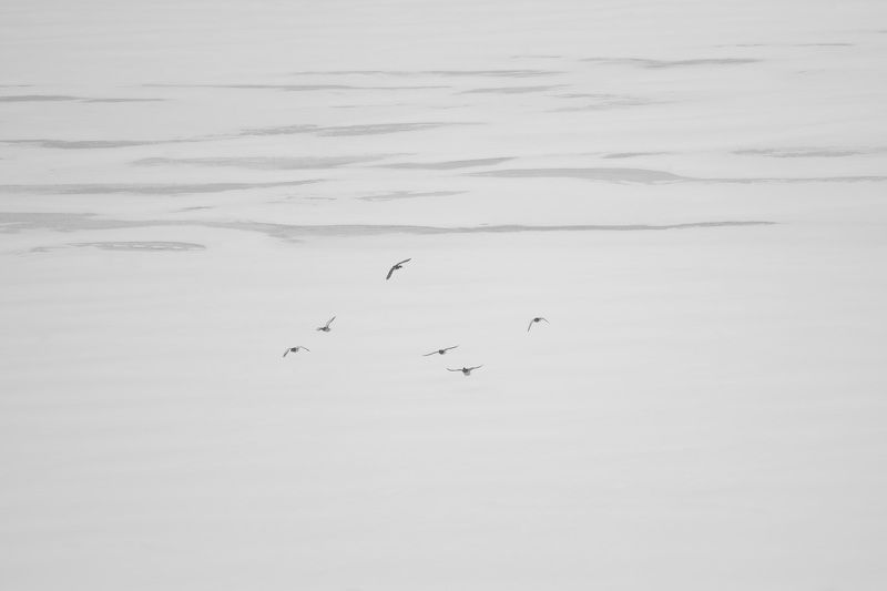 Зимнее фото превью