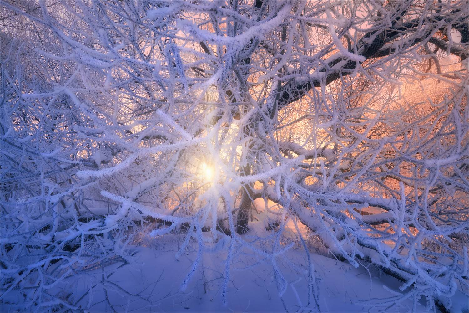 истра, утро, мороз, рассвет, Богорянов Алексей