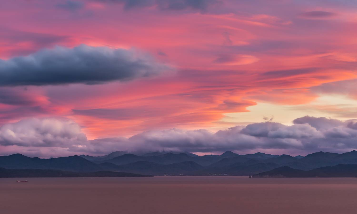 , Максин Александр