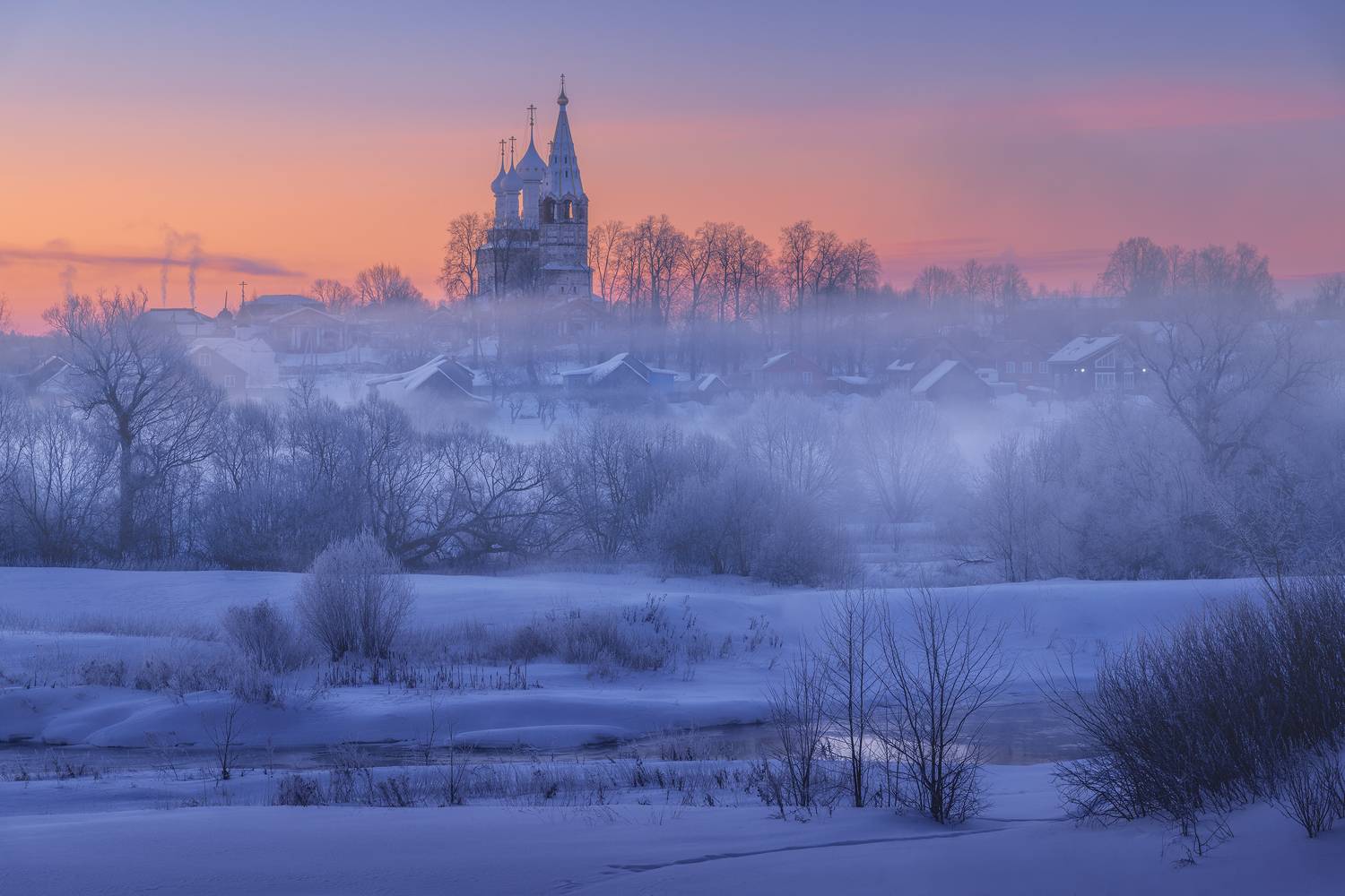 , Политова Анна