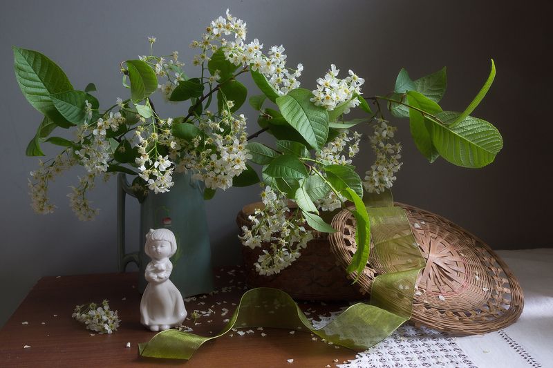 Цветет черемуха фото превью