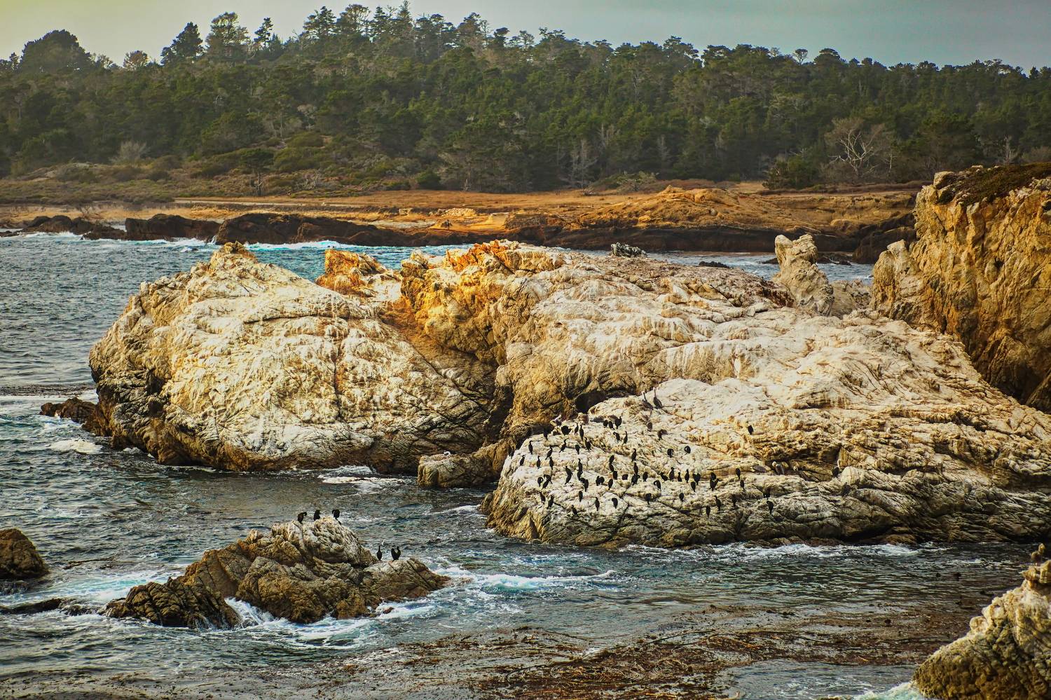 Stillwater Cove Access, Lilia Tkachenko