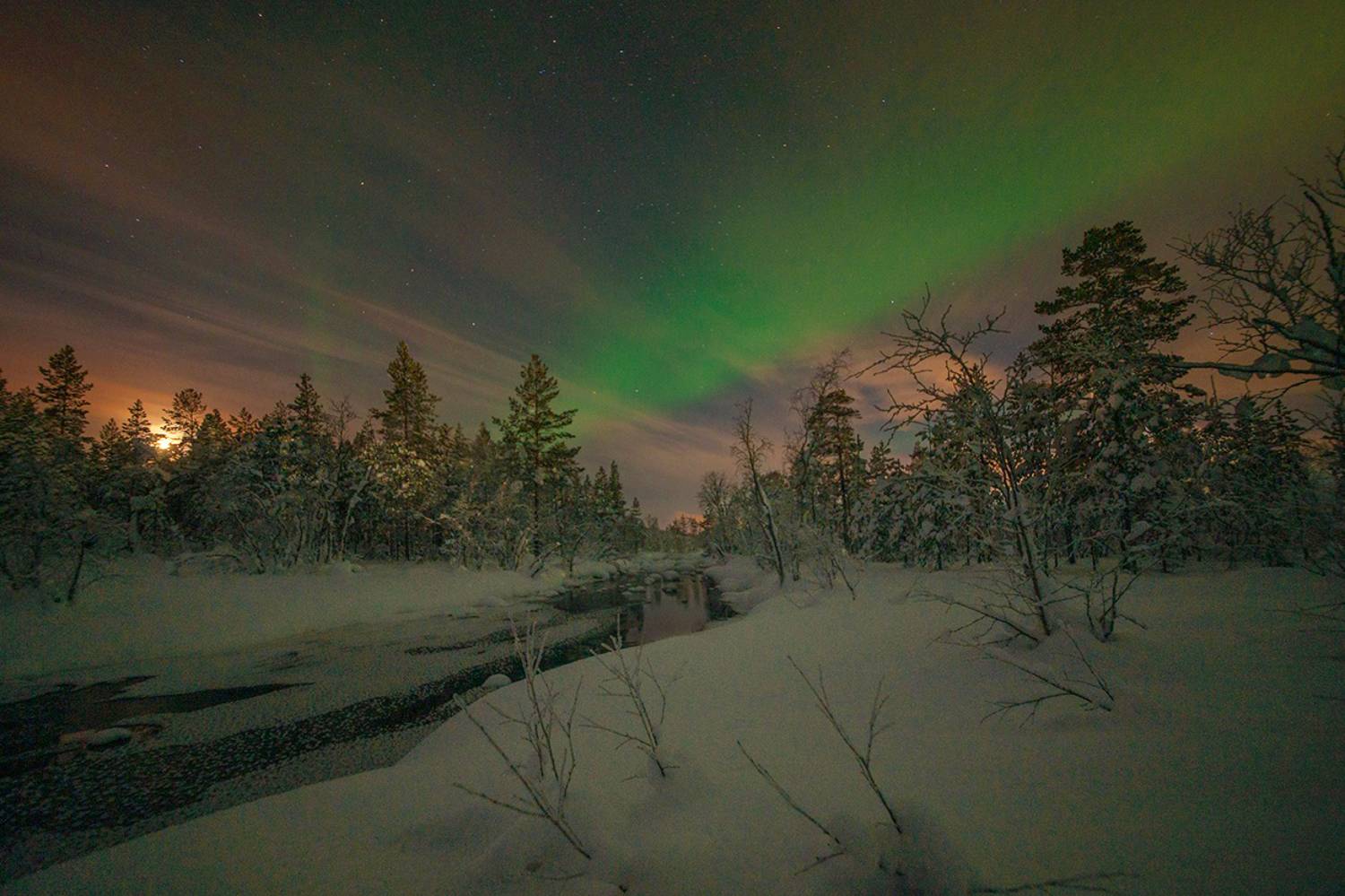 , Петр Косых