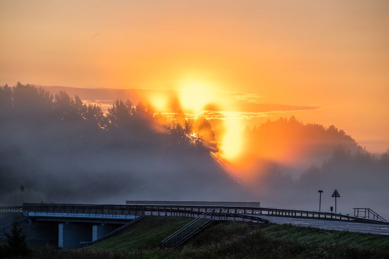 туман, солнце, лето, рассвет, дорога, утро, природа, небо, деревья Туманная дорога фото превью