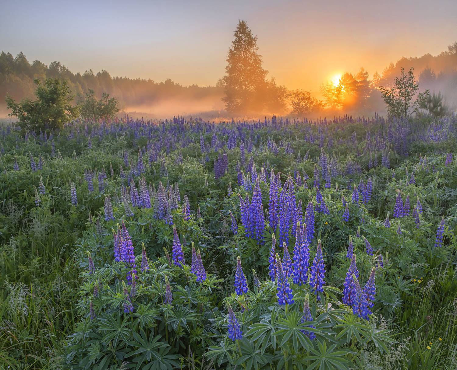 Фототуры с Владимиром Рябковым, #topnature #russpasibo #magic_shots #lovelyRussia #sunset_vision #exclusive_sky  #exclusive_shots #loves_russia2 #photoarena_nature #nature_sultans #nature_perfection #rsa_sky #rsa_sunset #photorussia #rsa_naturepics #sunse, Владимир Рябков