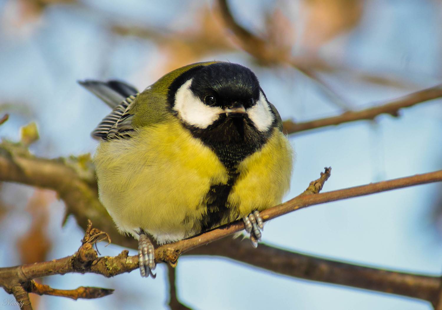 , Екимова Наталья