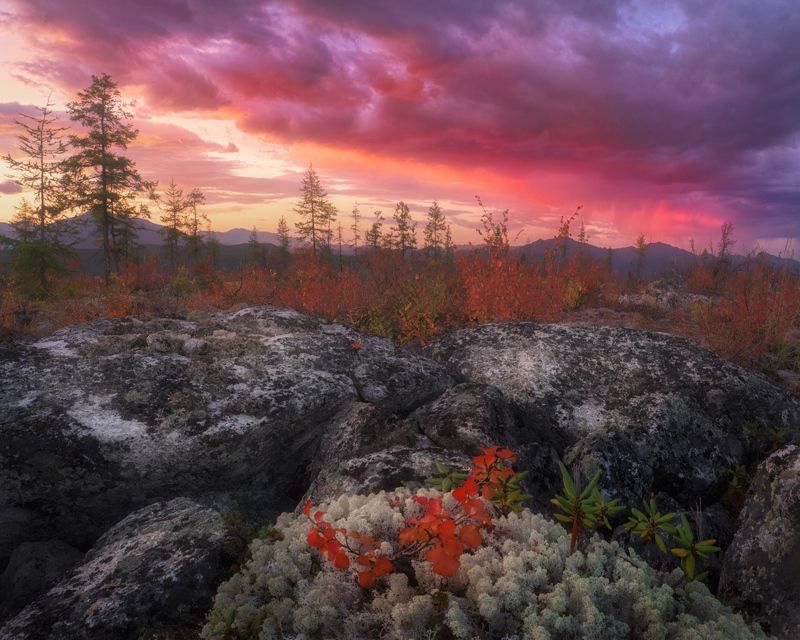 Провожая дождевой фронт фото превью