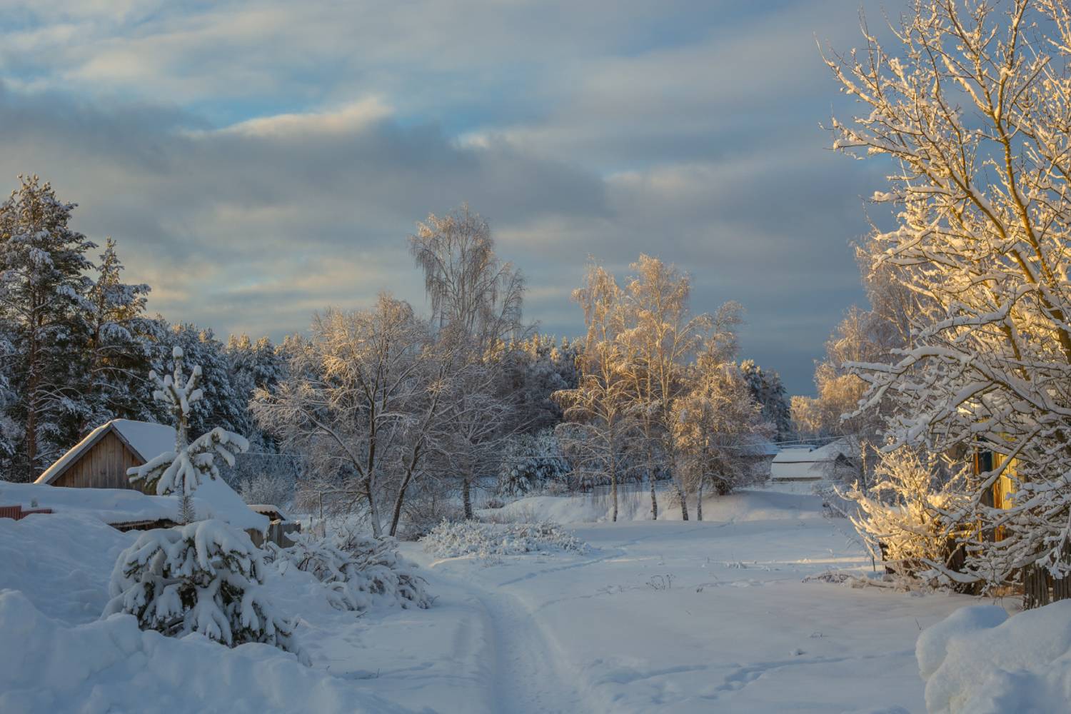 утро, мороз, деревня, серково, Дмитрий Алексеев