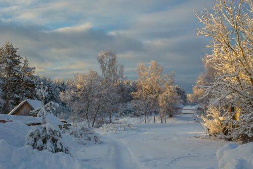 Морозное утро