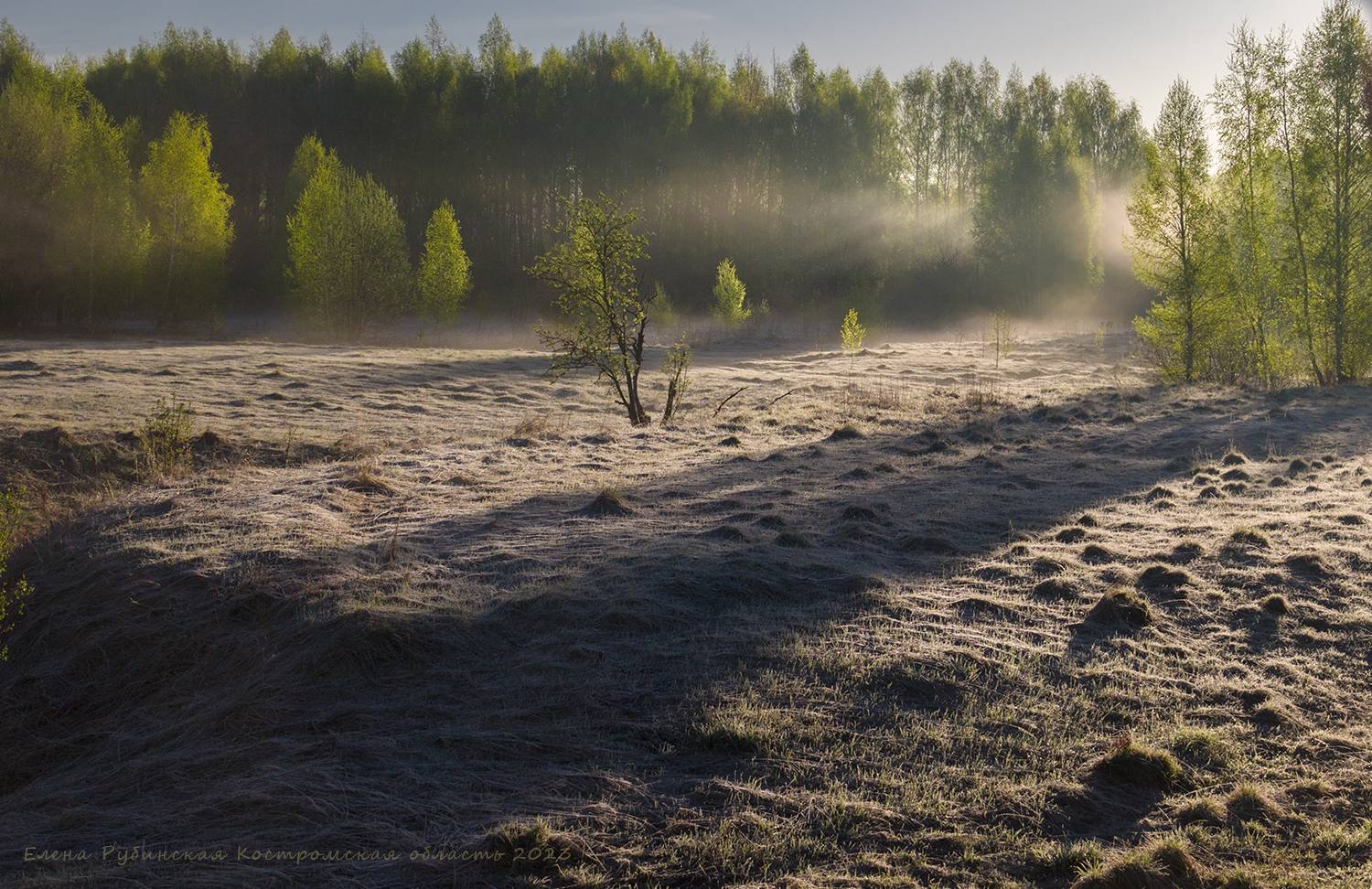 костромская область, Елена Рубинская