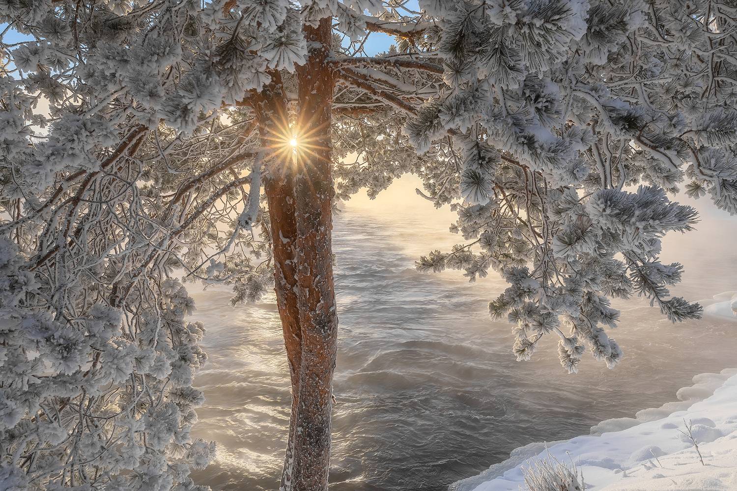 , Александр Пашеничев