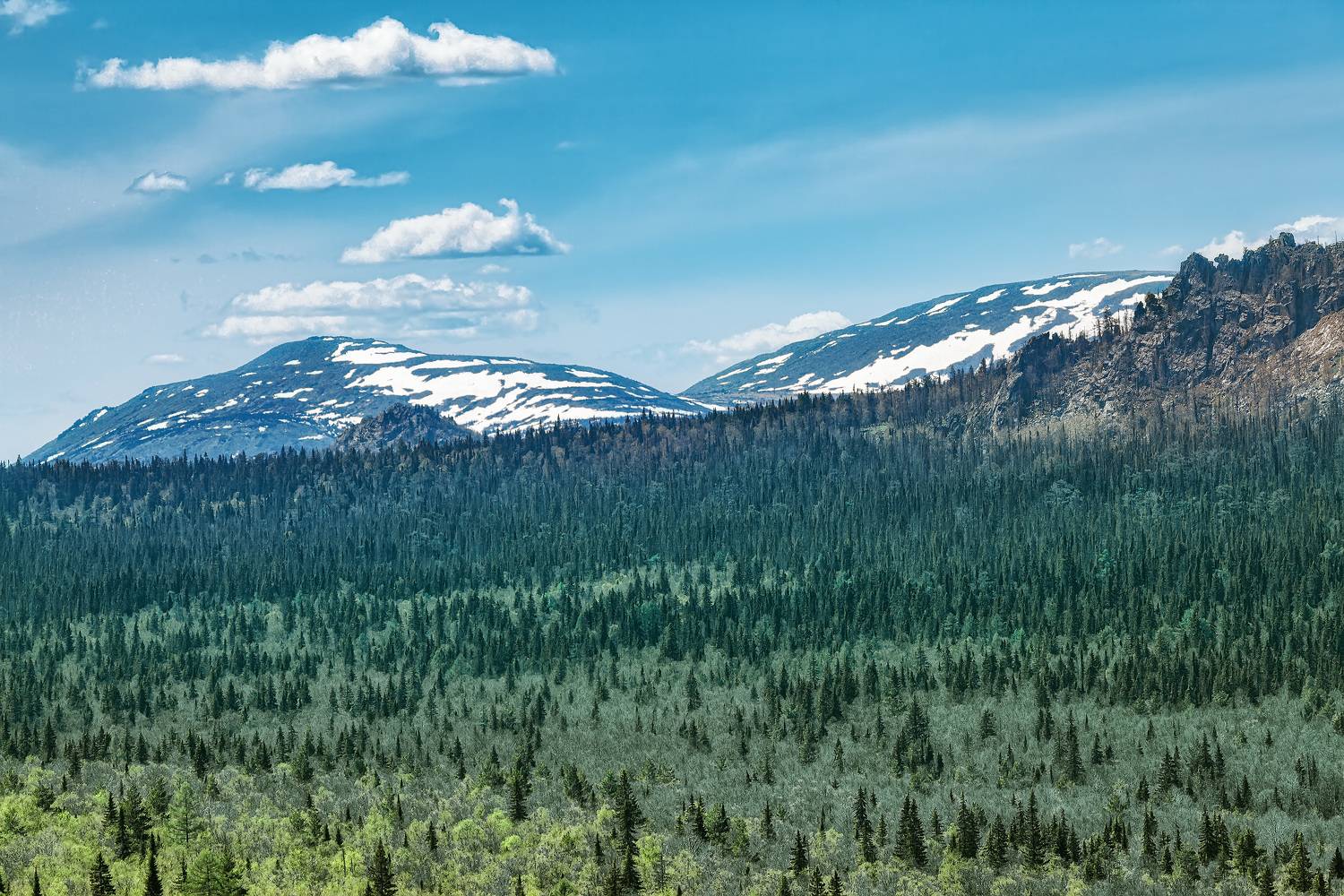 , Никитин Алексей