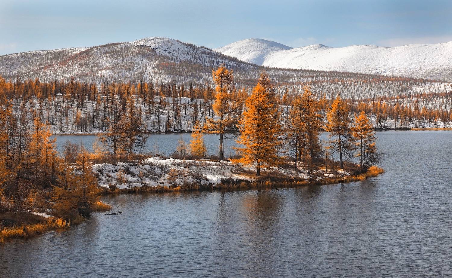 , Александр Попов