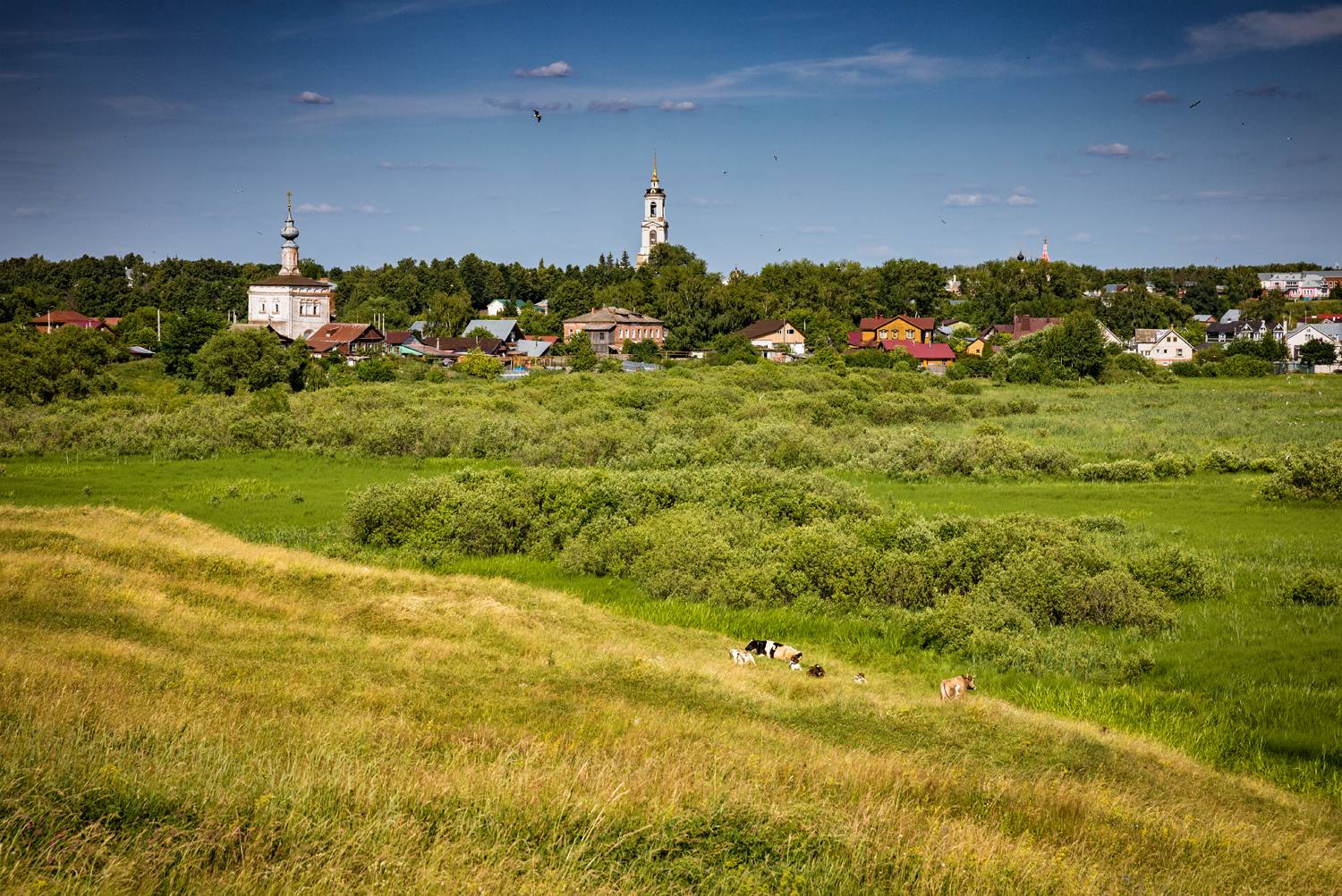 , Евгений Кужилев
